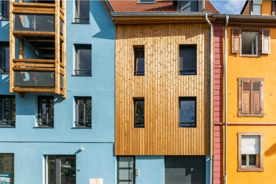 Le Nature 1 Chambre Et Sauna Colmar Dış mekan fotoğraf