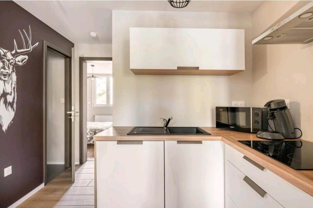 Le Nature 1 Chambre Et Sauna Colmar Dış mekan fotoğraf